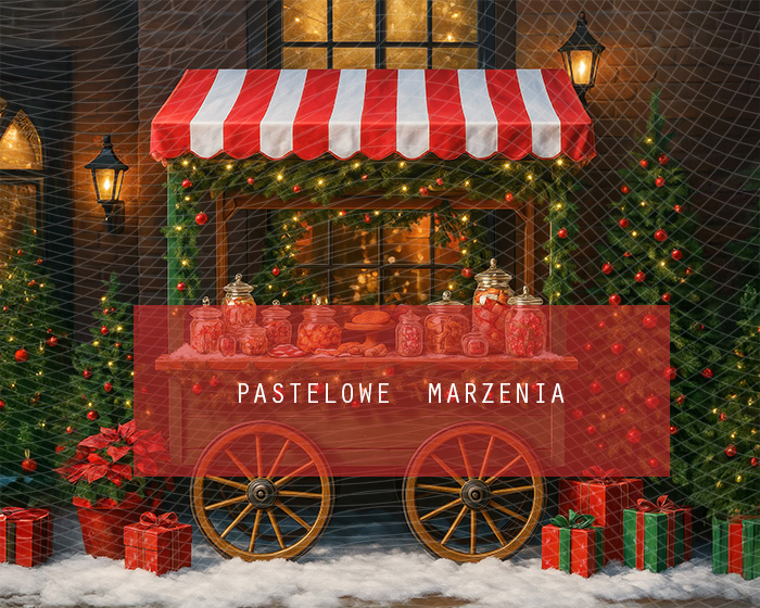 Fabric photographic backdrop from the Christmas category, Frame 250x200 cm