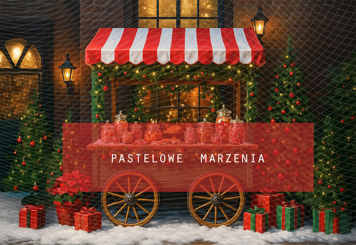Fabric photographic backdrop from the Christmas category, Frame 290x200 cm