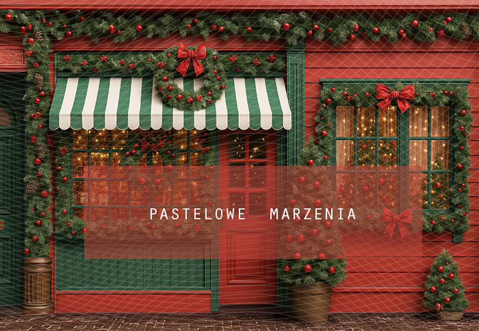 Fabric photographic backdrop from the Christmas category, Frame 290x200 cm