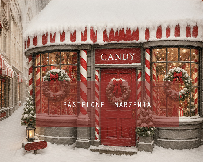Fabric photographic backdrop from the Christmas category, Frame 250x200 cm