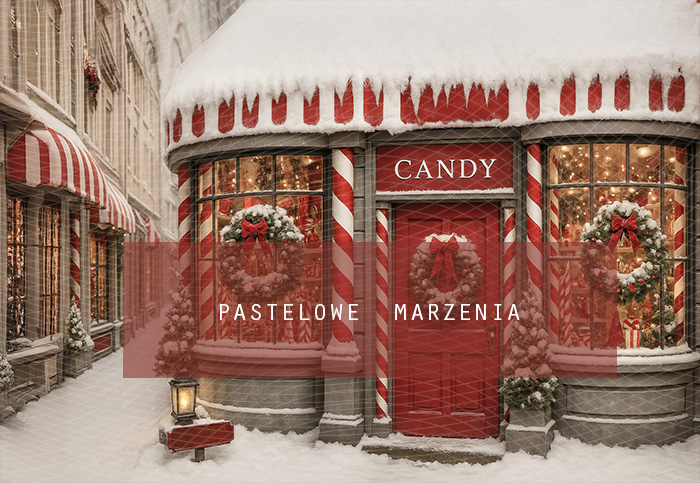 Fabric photographic backdrop from the Christmas category, Frame 290x200 cm