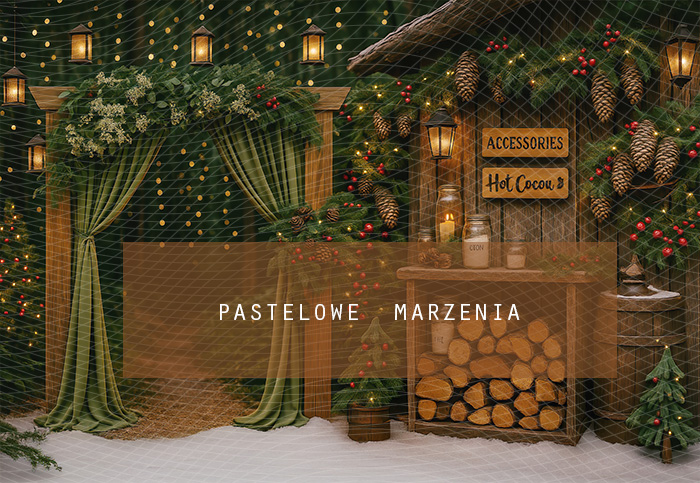 Fabric photographic backdrop from the Christmas category, Frame 290x200 cm