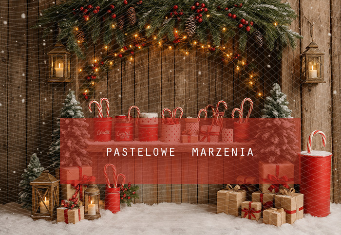 Fabric photographic backdrop from the Christmas category, Frame 290x200 cm