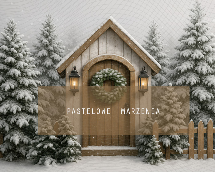 Tło fotograficzne materiałowe z kategorii Boże Narodzenie, Kadr 250x200 cm