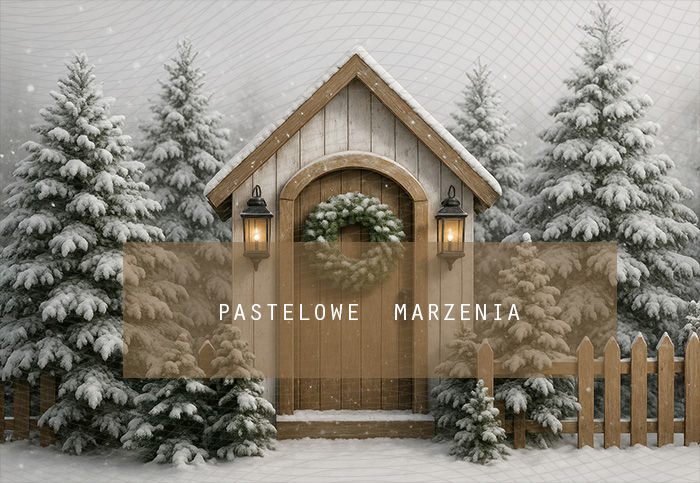 Tło fotograficzne materiałowe z kategorii Boże Narodzenie, Kadr 290x200 cm