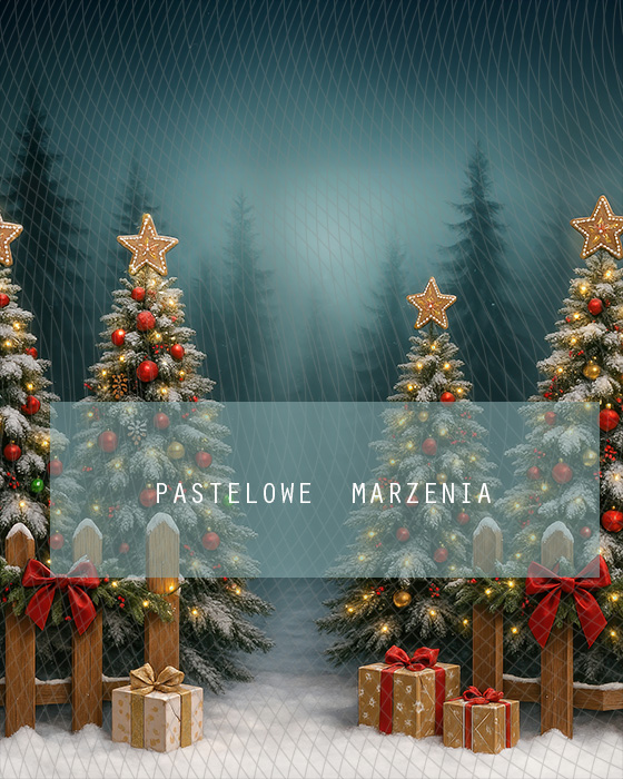 Tło fotograficzne materiałowe z kategorii Boże Narodzenie, Kadr 200x250 cm