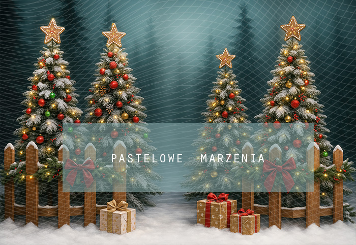 Tło fotograficzne materiałowe z kategorii Boże Narodzenie, Kadr 290x200 cm