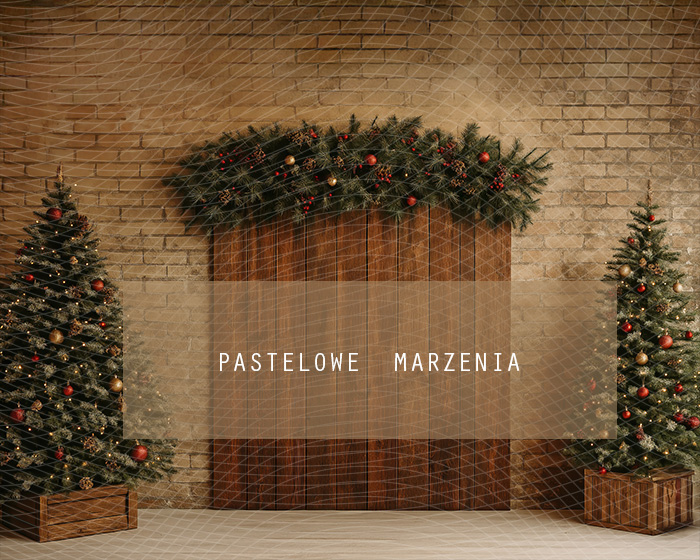 Tło fotograficzne materiałowe z kategorii Boże Narodzenie, Kadr 250x200 cm