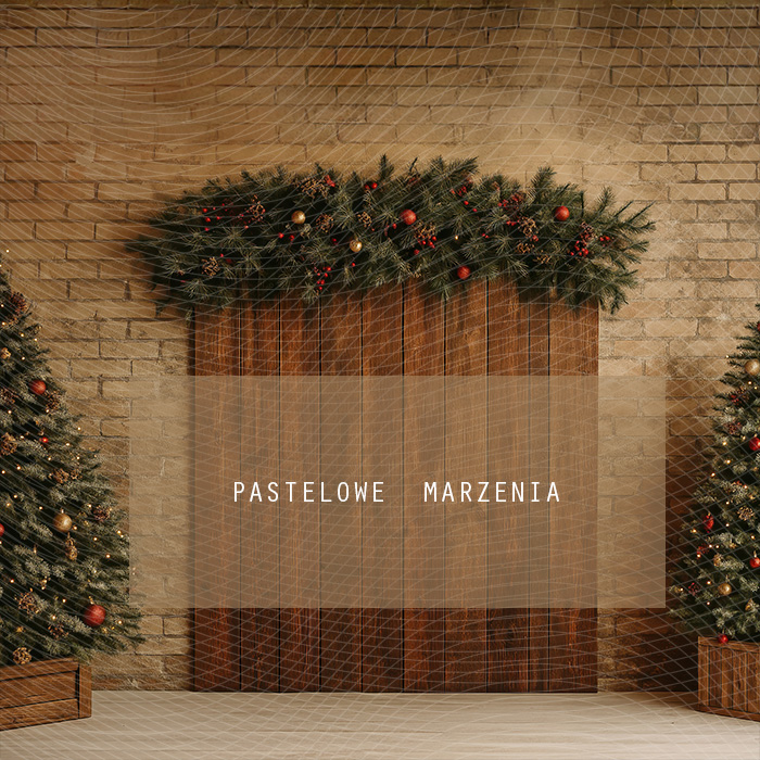 Tło fotograficzne materiałowe z kategorii Boże Narodzenie, Kadr 250x250 cm