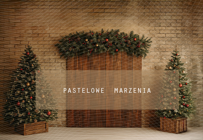 Tło fotograficzne materiałowe z kategorii Boże Narodzenie, Kadr 290x200 cm