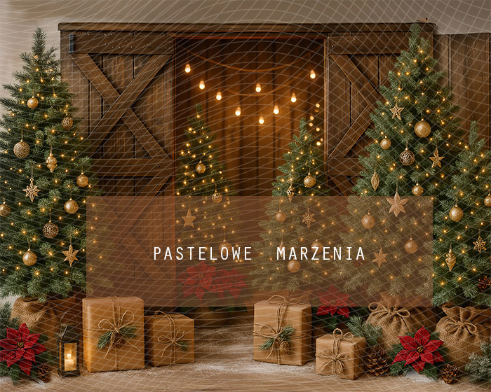 Fabric photographic backdrop from the Christmas category, Frame 250x200 cm