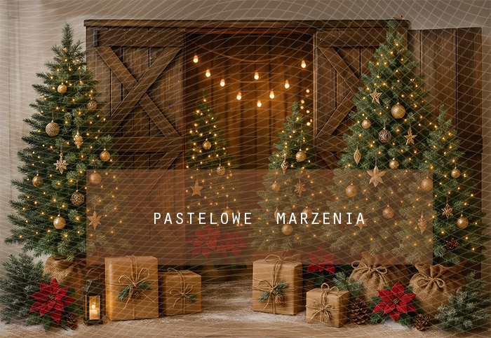 Fabric photographic backdrop from the Christmas category, Frame 290x200 cm