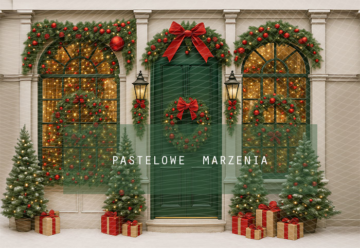 Fabric photographic backdrop from the Christmas category, Frame 290x200 cm