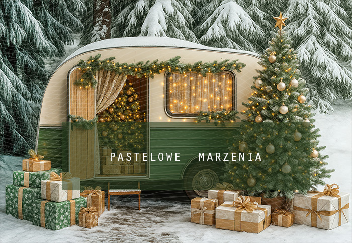Fabric photographic backdrop from the Christmas category, Frame 290x200 cm