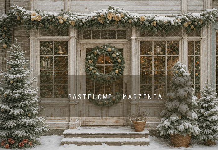 Fabric photographic backdrop from the Christmas category, Frame 290x200 cm