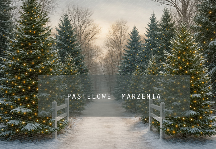 Tło fotograficzne materiałowe z kategorii Boże Narodzenie, Kadr 290x200 cm