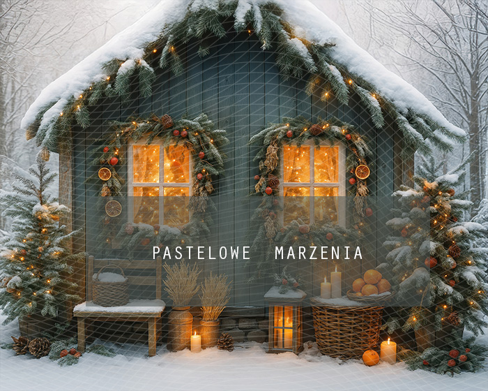 Tło fotograficzne materiałowe z kategorii Boże Narodzenie, Kadr 250x200 cm