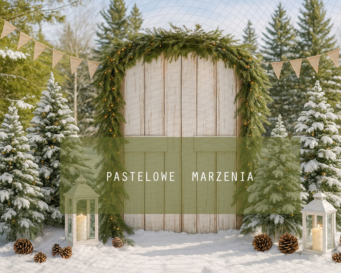 Fabric photographic backdrop from the Christmas category, Frame 250x200 cm
