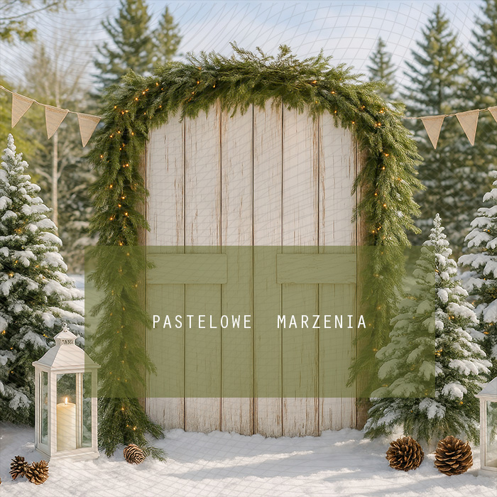 Fabric photographic backdrop from the Christmas category, Frame 250x250 cm