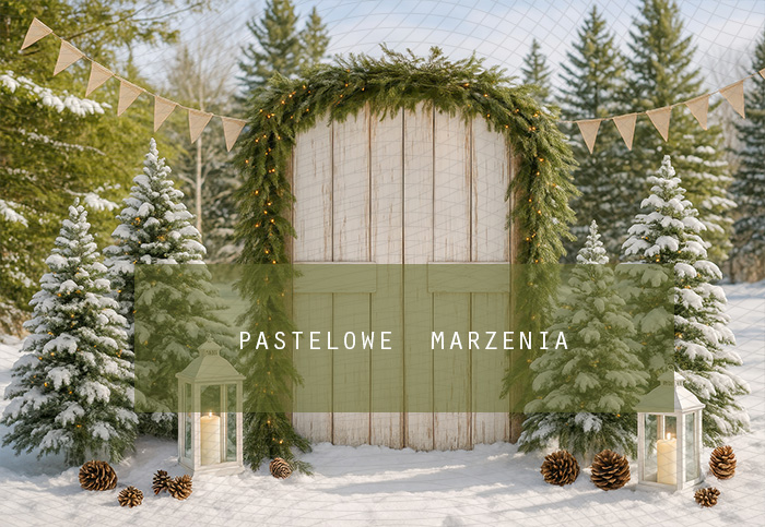 Fabric photographic backdrop from the Christmas category, Frame 290x200 cm