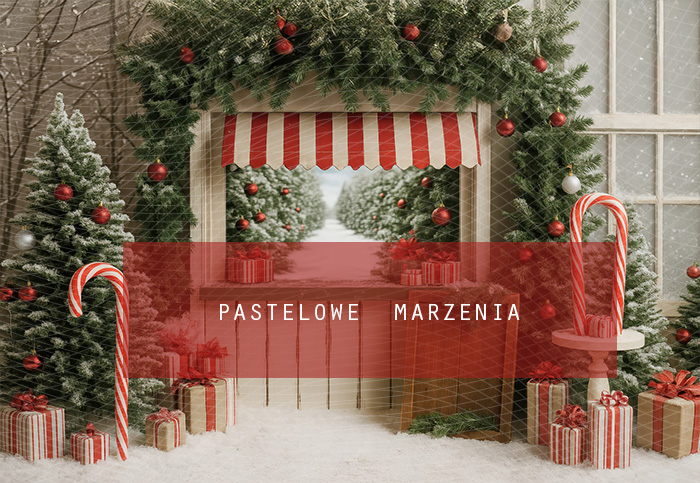 Fabric photographic backdrop from the Christmas category, Frame 290x200 cm