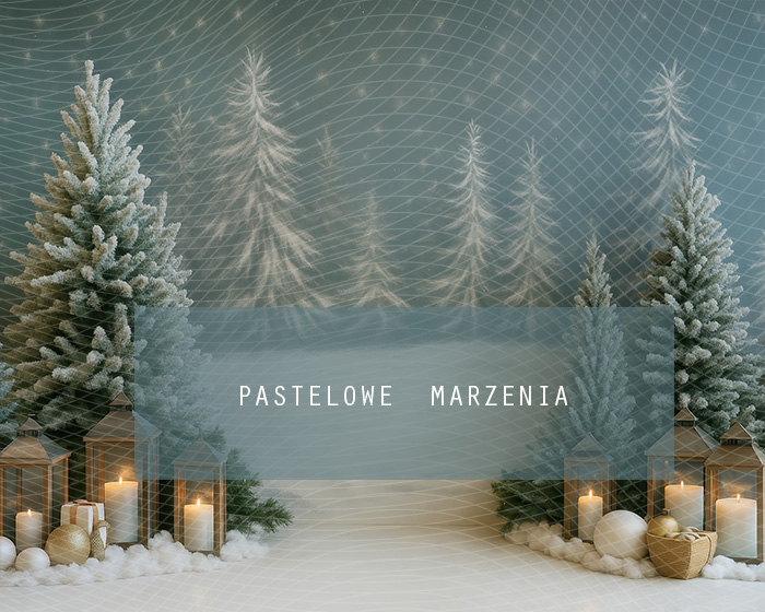 Fabric photographic backdrop from the Christmas category, Frame 250x200 cm