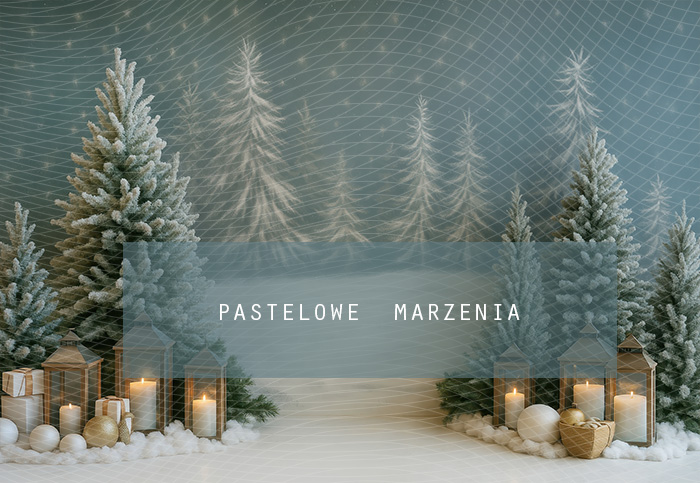 Fabric photographic backdrop from the Christmas category, Frame 290x200 cm