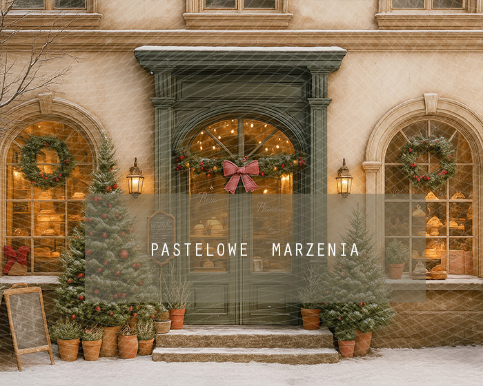 Fabric photographic backdrop from the Christmas category, Frame 250x200 cm