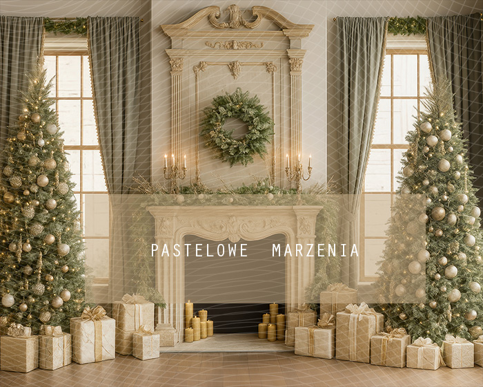 Fabric photographic backdrop from the Christmas category, Frame 250x200 cm