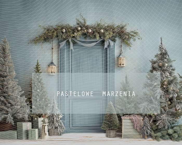 Fabric photographic backdrop from the Christmas category, Frame 250x200 cm