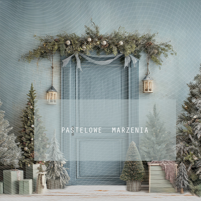 Fabric photographic backdrop from the Christmas category, Frame 250x250 cm