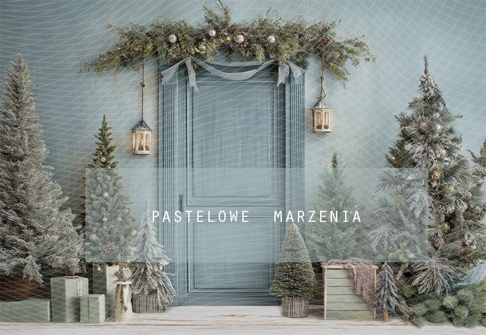 Fabric photographic backdrop from the Christmas category, Frame 290x200 cm