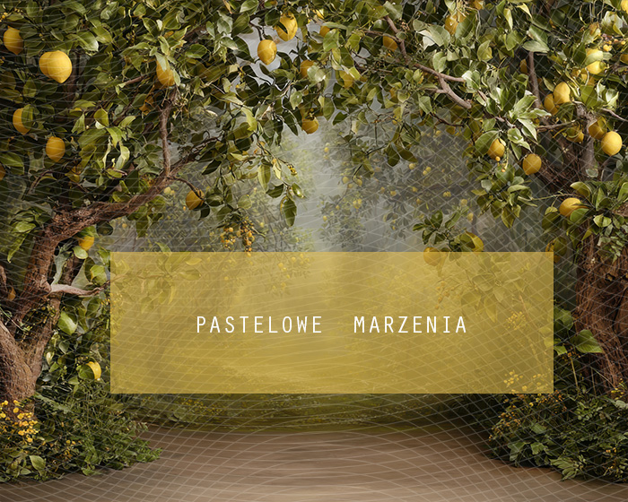 Fabric photographic backdrop from the Fruits category, Frame 250x200 cm