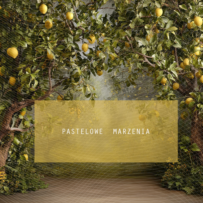 Fabric photographic backdrop from the Fruits category, Frame 250x250 cm