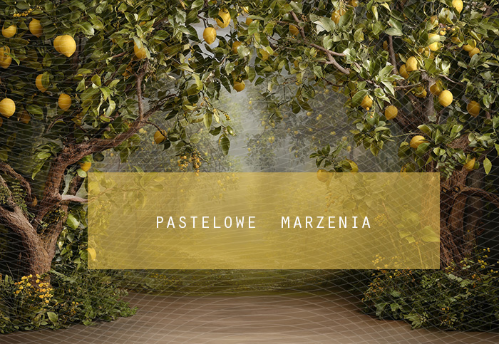 Fabric photographic backdrop from the Fruits category, Frame 290x200 cm