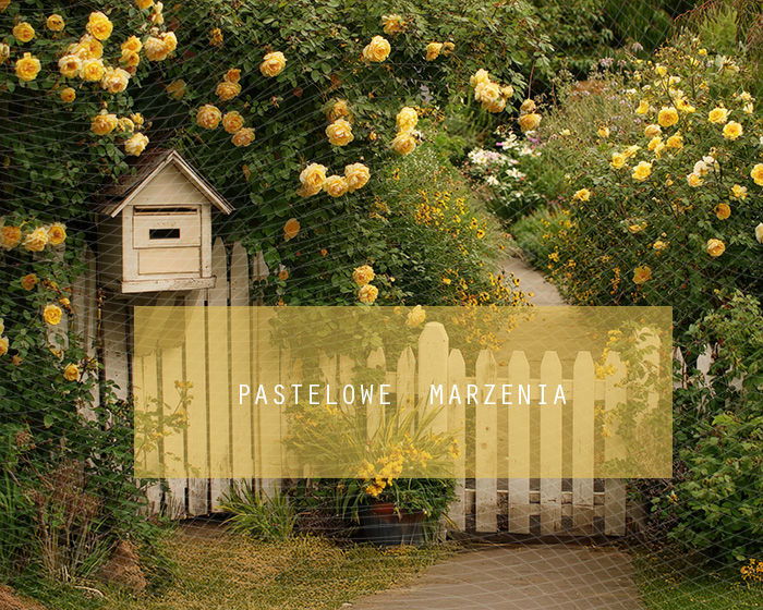 Fabric photographic backdrop from the Fruits category, Frame 250x200 cm