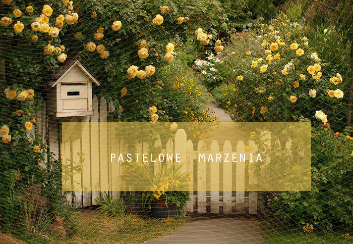 Fabric photographic backdrop from the Fruits category, Frame 290x200 cm