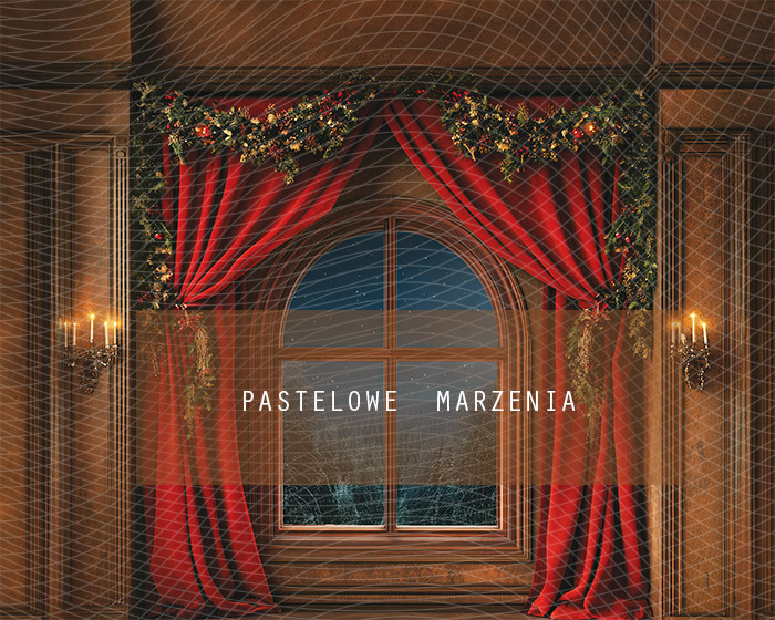 Fabric photographic backdrop from the Christmas category, Frame 250x200 cm