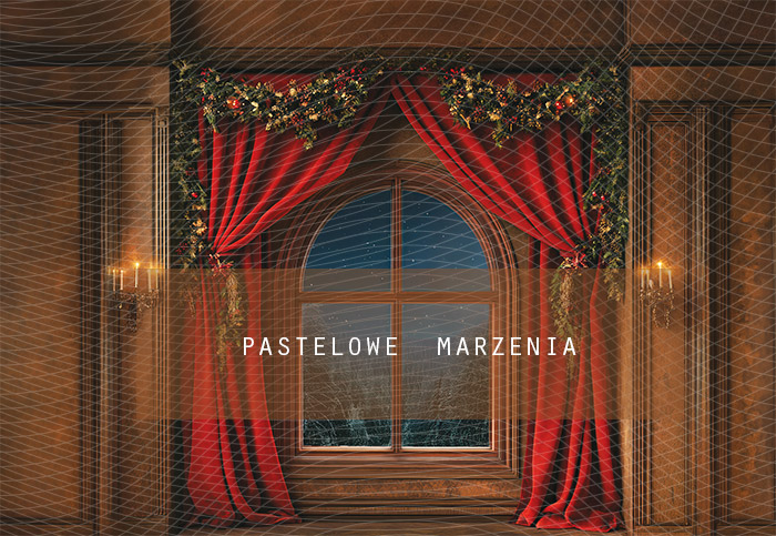 Fabric photographic backdrop from the Christmas category, Frame 290x200 cm