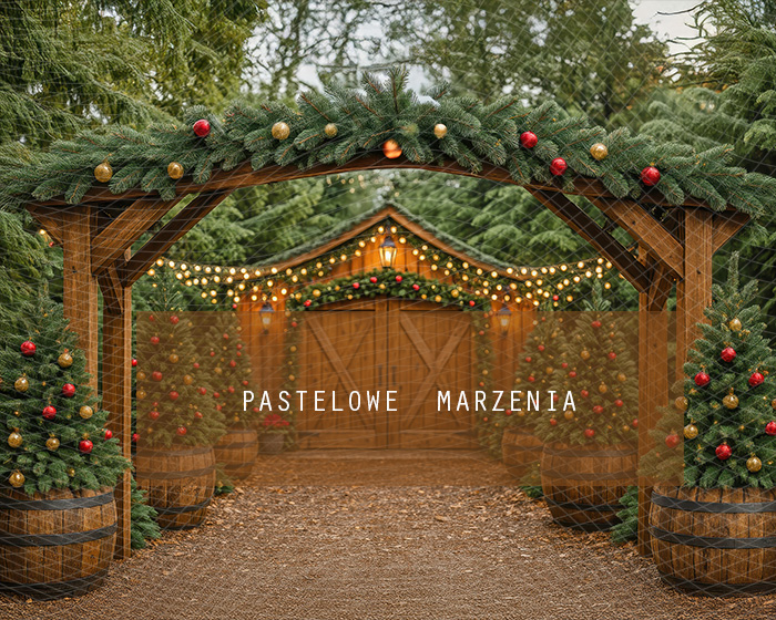 Fabric photographic backdrop from the Christmas category, Frame 250x200 cm