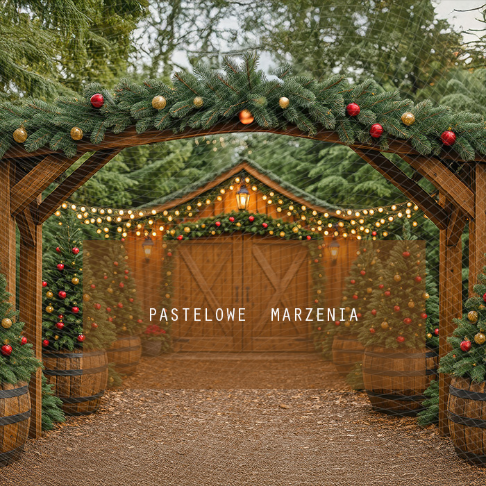Fabric photographic backdrop from the Christmas category, Frame 250x250 cm