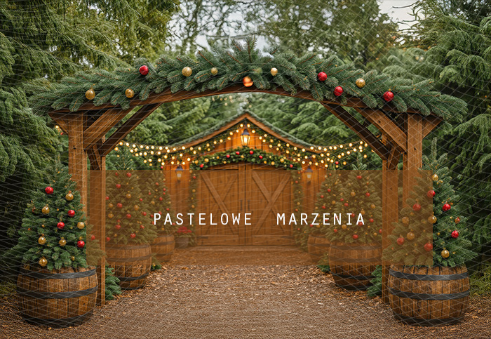 Fabric photographic backdrop from the Christmas category, Frame 290x200 cm