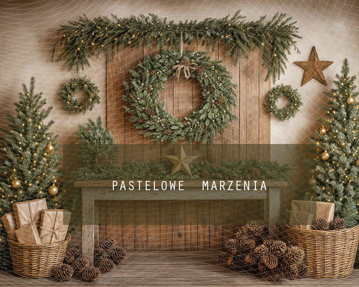 Fabric photographic backdrop from the Christmas category, Frame 250x200 cm