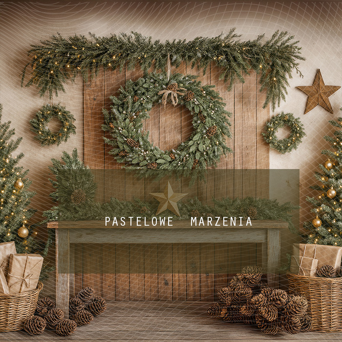 Fabric photographic backdrop from the Christmas category, Frame 250x250 cm