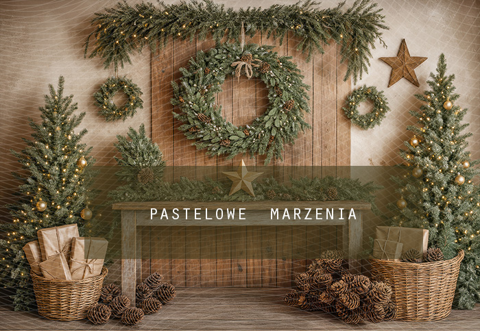 Fabric photographic backdrop from the Christmas category, Frame 290x200 cm