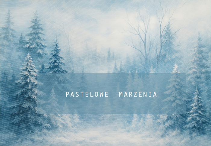 Fabric photographic backdrop from the Christmas category, Frame 290x200 cm