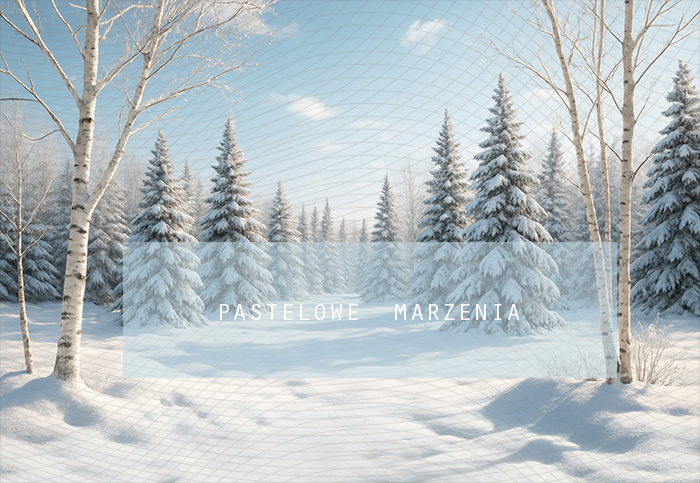 Fabric photographic backdrop from the Christmas category, Frame 290x200 cm