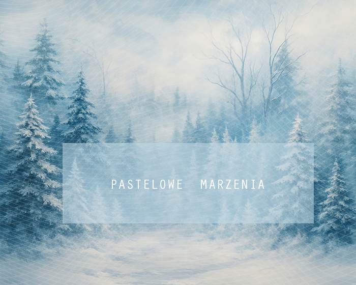 Fabric photographic backdrop from the Christmas category, Frame 250x200 cm