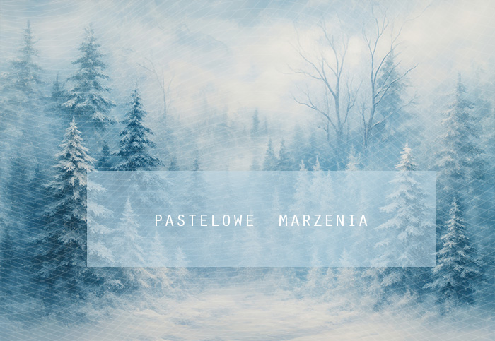 Fabric photographic backdrop from the Christmas category, Frame 290x200 cm