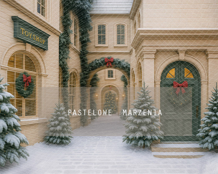 Fabric photographic backdrop from the Christmas category, Frame 250x200 cm